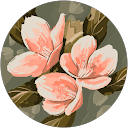 Alia M profile picture